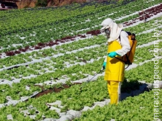 Ministério da Agricultura autoriza mais 63 agrotóxicos, 19 altamente tóxicos Ministério da Agricultura autoriza mais 63 agrotóxicos, 19 altamente tóxicos