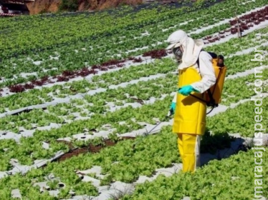 Ministério da Agricultura autoriza mais 63 agrotóxicos, 19 altamente tóxicos