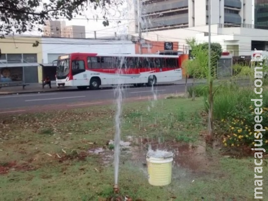 Morador de rua toma banho em canteiro e água fica vazando por uma hora