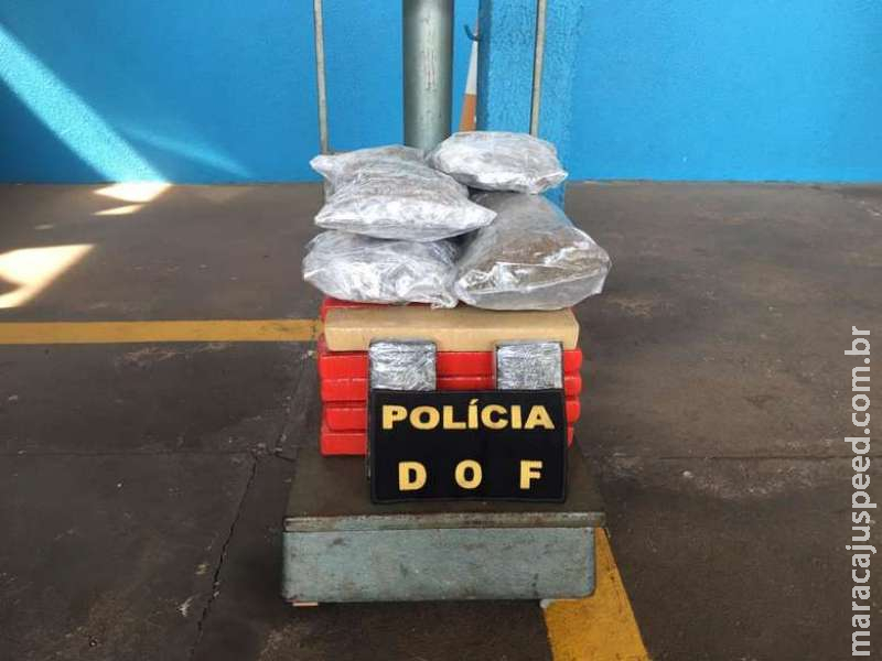 Mulher é presa em ônibus tentando levar droga até o Paraná