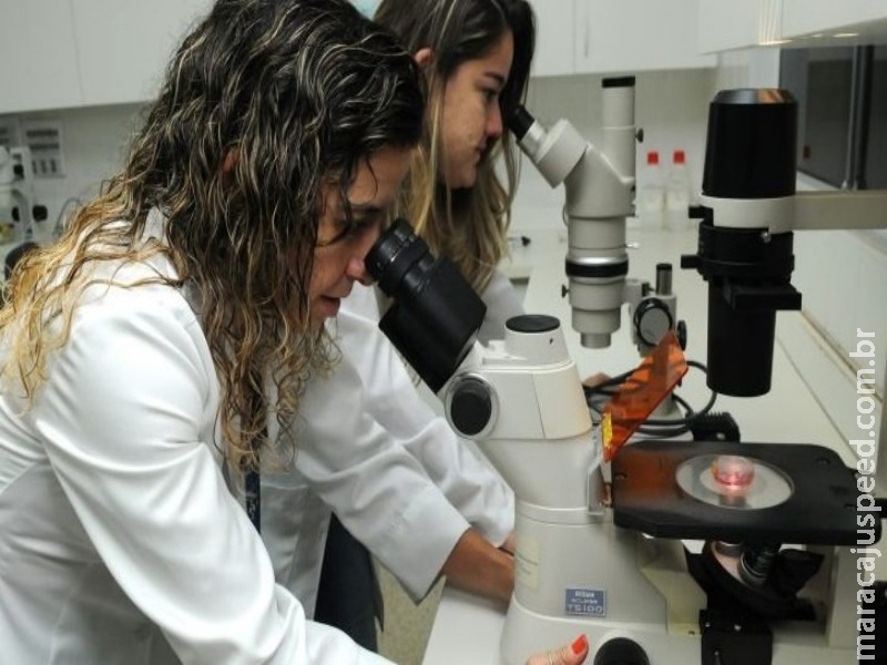 Orçamento para bolsas de pesquisa depende da arrecadação de impostos, diz secretário Orçamento para bolsas de pesquisa depende da arrecadação de impostos, diz secretário