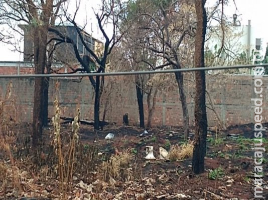 Ossada com fratura no crânio é encontrada em terreno no Parque dos Poderes 