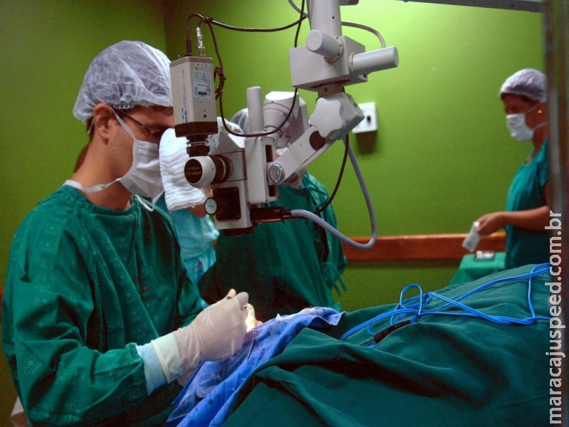 Pesquisa mostra que limpeza em hospital não extermina bactérias Pesquisa mostra que limpeza em hospital não extermina bactérias