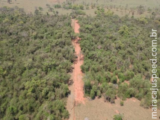 PMA autua infrator em R$ 7 mil por desmatamento ilegal PMA autua infrator em R$ 7 mil por desmatamento ilegal