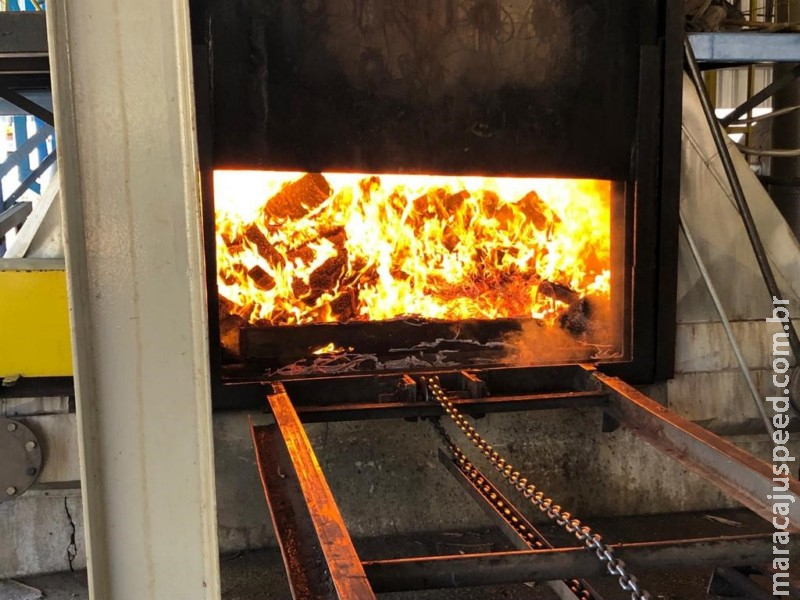 Polícia incinerá 15 toneladas de drogas Polícia incinerá 15 toneladas de drogas