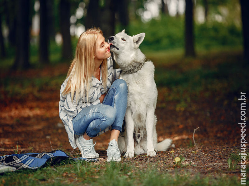 Posse responsável: 5 passos para o tutor manter a saúde e o bem-estar do pet Posse responsável: 5 passos para o tutor manter a saúde e o bem-estar do pet
