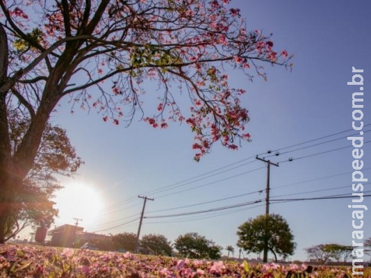 Sábado será de céu parcialmente nublado e calor de 37°C em MS Sábado será de céu parcialmente nublado e calor de 37°C em MS