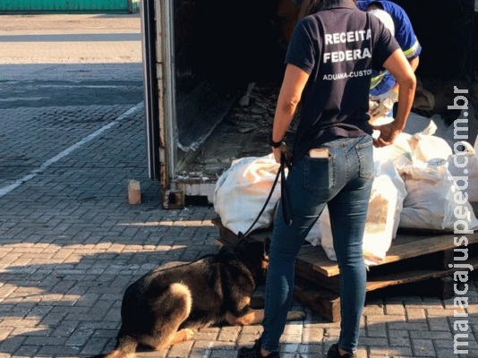 Tráfico internacional perde mais de R$ 4,68 bilhões só em cocaína Tráfico internacional perde mais de R$ 4,68 bilhões só em cocaína
