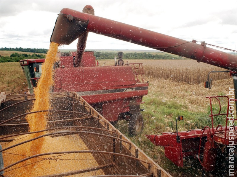 Valor de produção agrícola de 2018 bate recorde, com R$ 343,5 bilhões