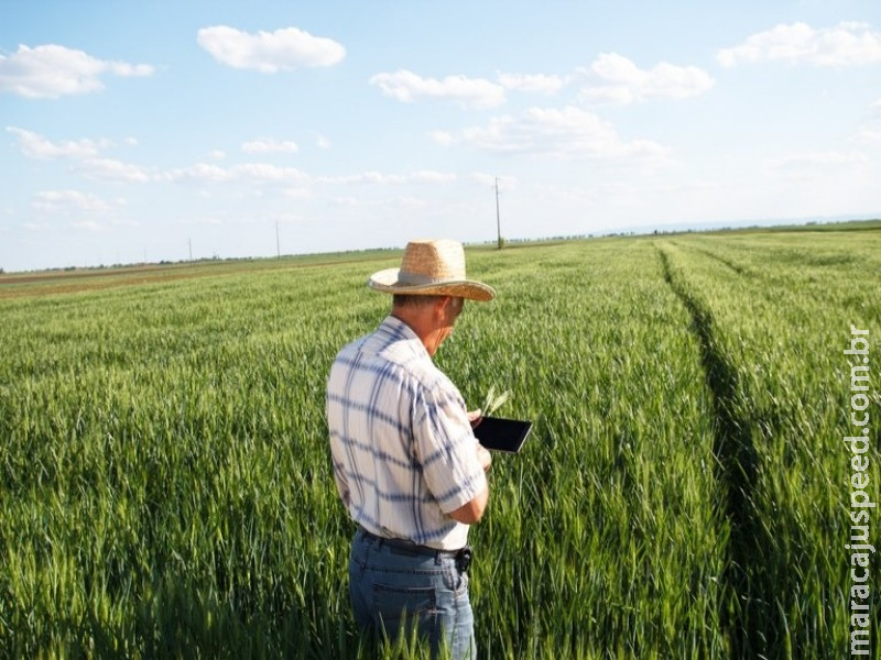 Agricultura familiar emprega mais de 10 milhões de pessoas, mostra Censo Agropecuário