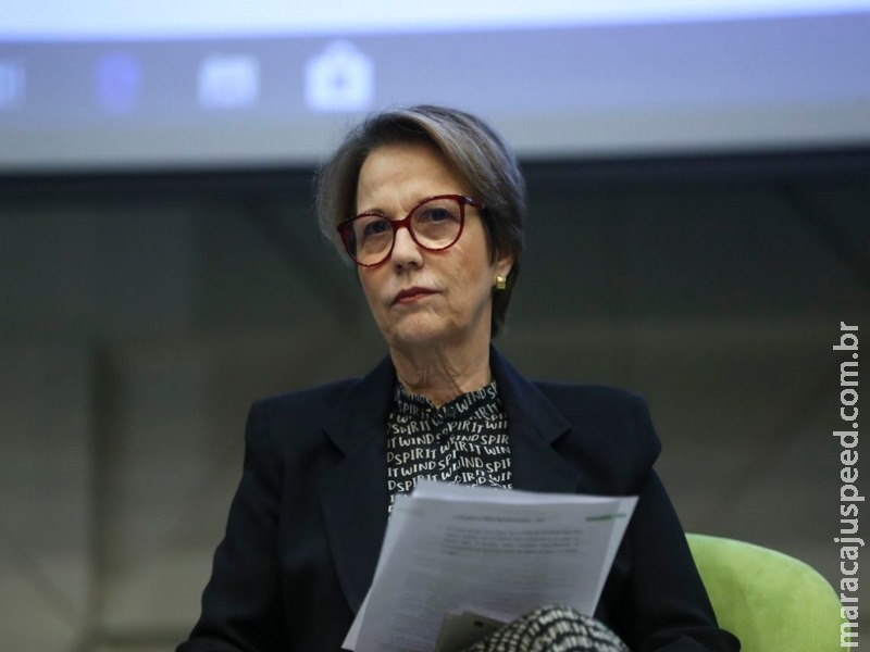 Agronegócio brasileiro é o mais sustentável do mundo, diz ministra