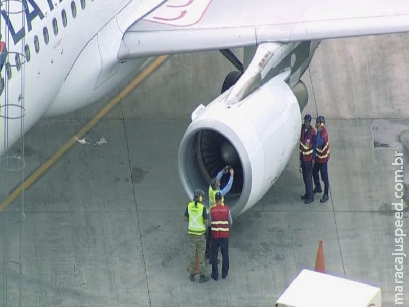 Avião com destino a Campo Grande retorna para aeroporto após colisão com pássaro Avião com destino a Campo Grande retorna para aeroporto após colisão com pássaro