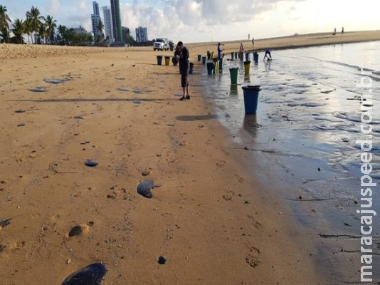 Campo-grandense muda para nordeste por conta do mar e se desespera ao ver praia tomada por óleo