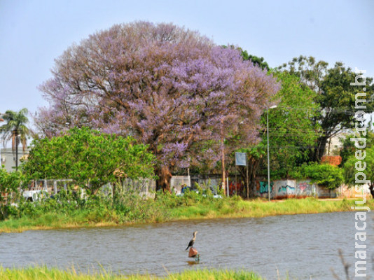 Chuva dá trégua e calorão volta na sexta-feira Chuva dá trégua e calorão volta na sexta-feira