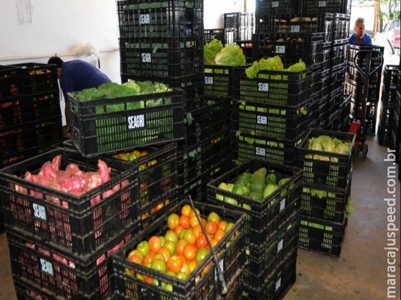 Comissão aprova preferência a produtos orgânicos em licitações Comissão aprova preferência a produtos orgânicos em licitações