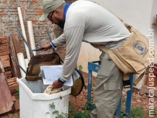 Doenças transmitidas pelo Aedes atingem 116 pessoas a cada dia em MS