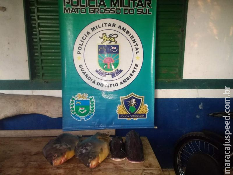 Dono de conveniência é autuado em Aquidauana por vender pescado ilegal Dono de conveniência é autuado em Aquidauana por vender pescado ilegal