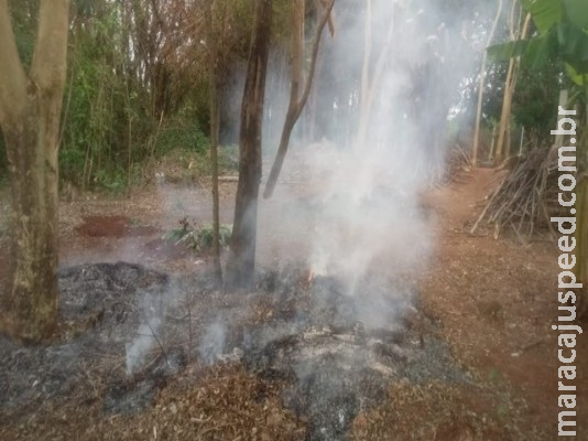 Idoso é preso em flagrante por poluição ambiental ao atear fogo em área da prefeitura, diz polícia em MS Idoso é preso em flagrante por poluição ambiental ao atear fogo em área da prefeitura, diz polícia em MS