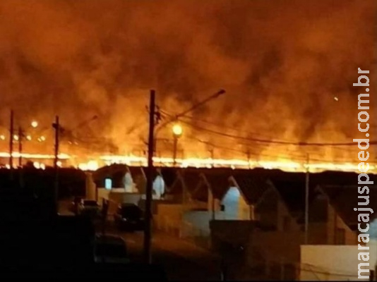 Incêndio devastou 2,5 hectares de vegetação no aeroporto da Capital Incêndio devastou 2,5 hectares de vegetação no aeroporto da Capital