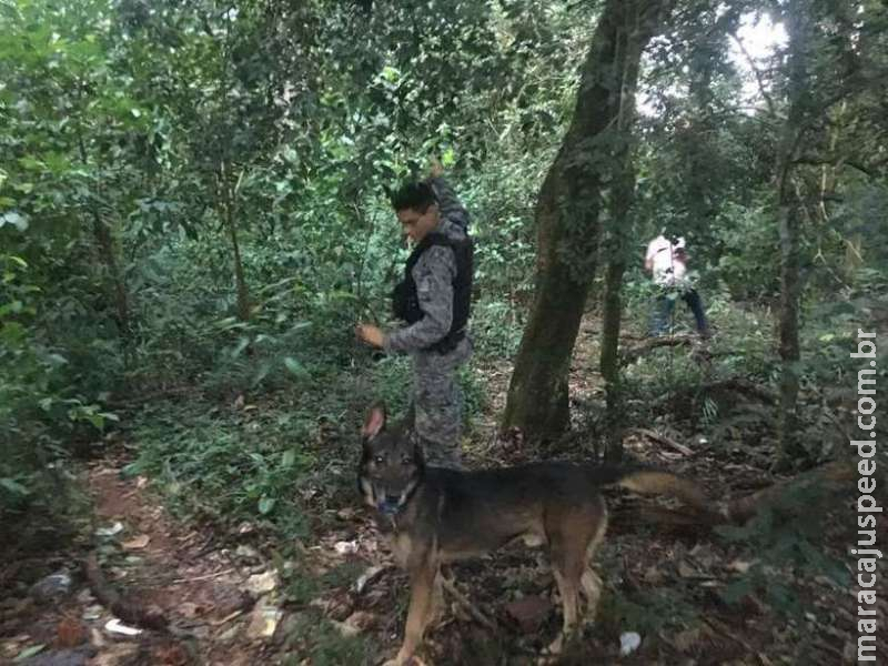 Justiça absolve de tráfico homem suspeito de enterrar drogas em mata Justiça absolve de tráfico homem suspeito de enterrar drogas em mata