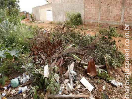 Mais de 200 donos de terrenos irregulares são multados em Campo Grande Mais de 200 donos de terrenos irregulares são multados em Campo Grande