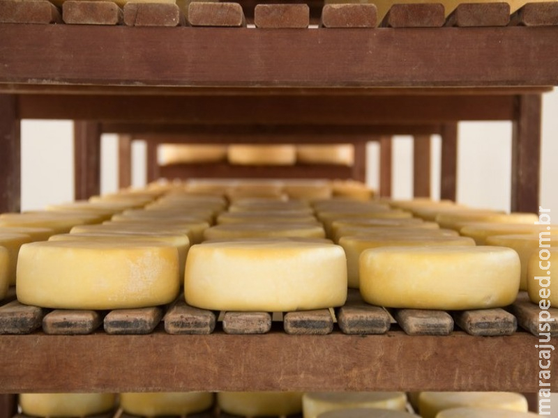 Mapa publica norma para a produção de queijo minas meia cura