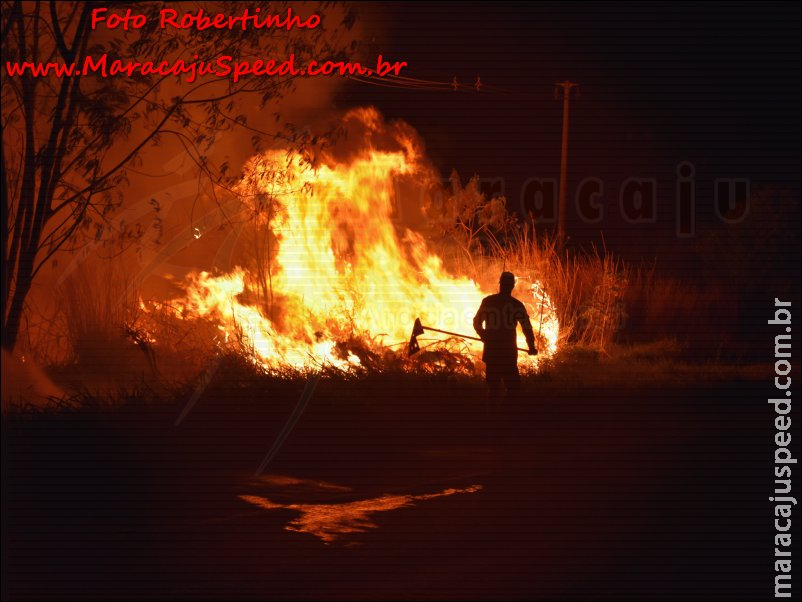 Maracaju: Corpo de Bombeiros atendem ocorrência de fogo em vegetação as margens da Rodovia BR-267 Maracaju: Corpo de Bombeiros atendem ocorrência de fogo em vegetação as margens da Rodovia BR-267