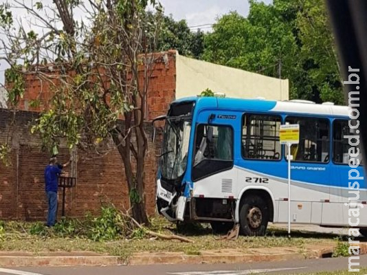 Passageiro flagra acidente com ônibus que acertou árvore no Monte Castelo 