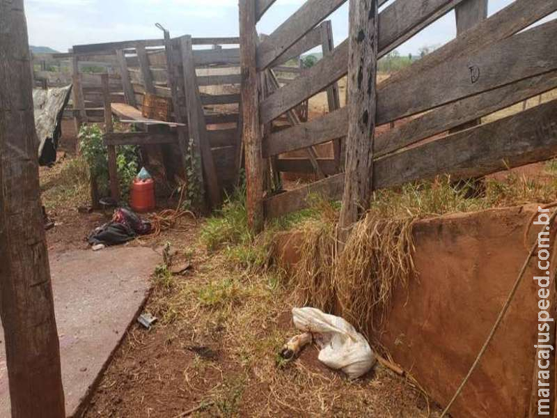 Polícia fecha abatedouros clandestinos e multa homens por crime ambiental