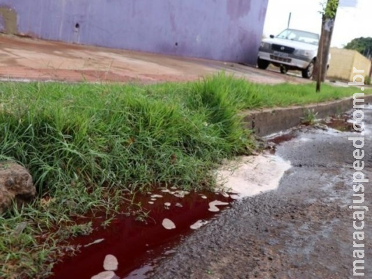 Polícia identifica morador encontrado morto com ferimento na cabeça Polícia identifica morador encontrado morto com ferimento na cabeça