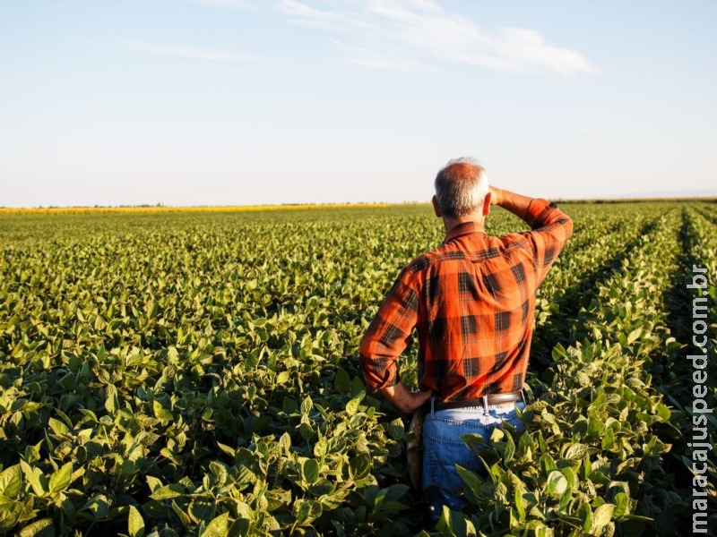 Produtores rurais poderão refinanciar dívidas com juros de 8% ao ano Produtores rurais poderão refinanciar dívidas com juros de 8% ao ano