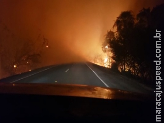 Queimadas atingem Pantanal e PRF diz que há focos de incêndio criminoso