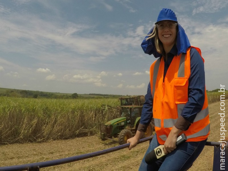 Sucroenergéticas aliam tecnologia e sustentabilidade para garantir melhores resultados no setor