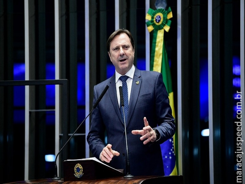 Trabalhadores do transporte rodoviário poderão votar em qualquer seção do país Trabalhadores do transporte rodoviário poderão votar em qualquer seção do país