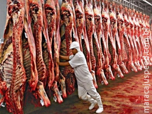 Alta do boi chega a cidade e custo da carne já subiu mais de 10% na Capital Alta do boi chega a cidade e custo da carne já subiu mais de 10% na Capital