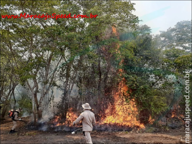 Bombeiros de Maracaju atuam no combate ao incêndio que destrói o bioma pantaneiro do MS