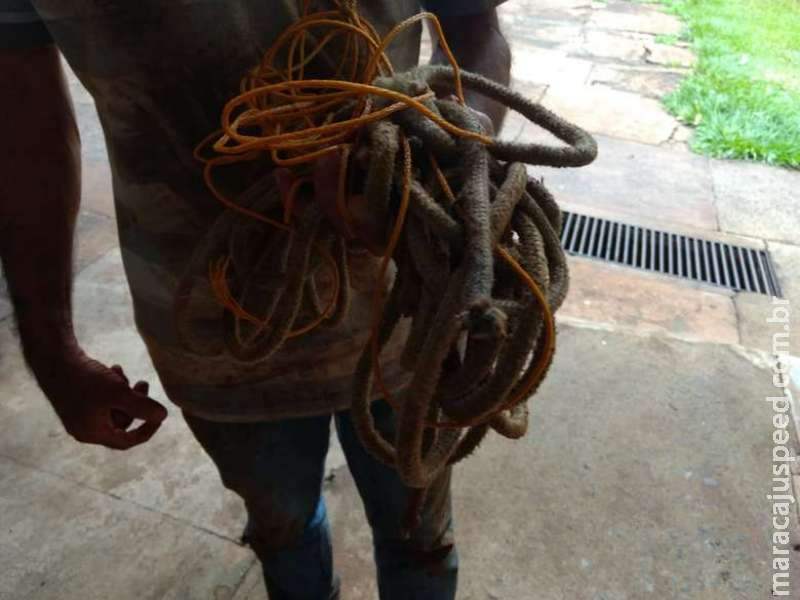 Caminhoneiro cai em golpe, tenta fugir e acaba amarrado por criminosos às margens de rodovia