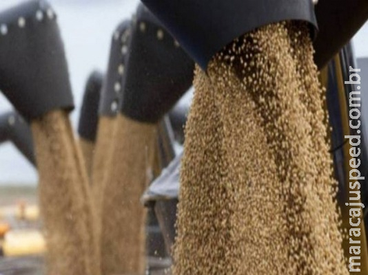Conab: Produção de 246 milhões de toneladas garante o recorde da safra de grãos Conab: Produção de 246 milhões de toneladas garante o recorde da safra de grãos