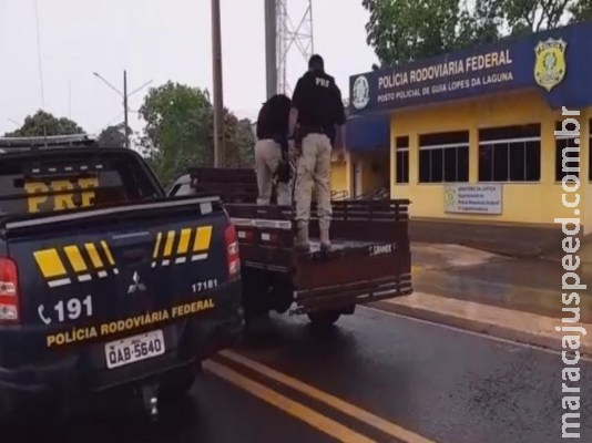 Condutor tenta fugir, mas é preso com 152kg de maconha em caminhonete Condutor tenta fugir, mas é preso com 152kg de maconha em caminhonete