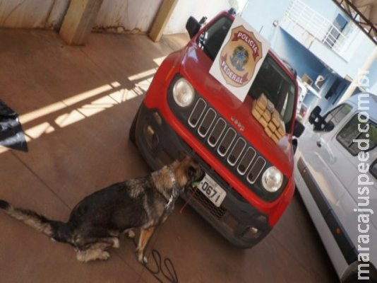 Desembargadora perde Jeep apreendido com filho por tráfico Desembargadora perde Jeep apreendido com filho por tráfico