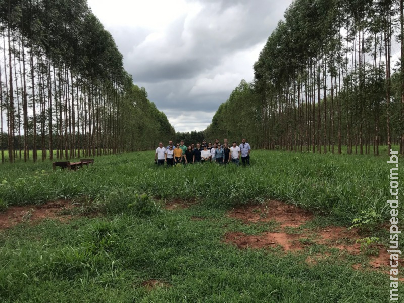 Embrapa habilita certificadoras para o selo Carne Carbono Neutro