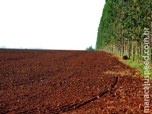 Estiagem põe agronegócio em alerta