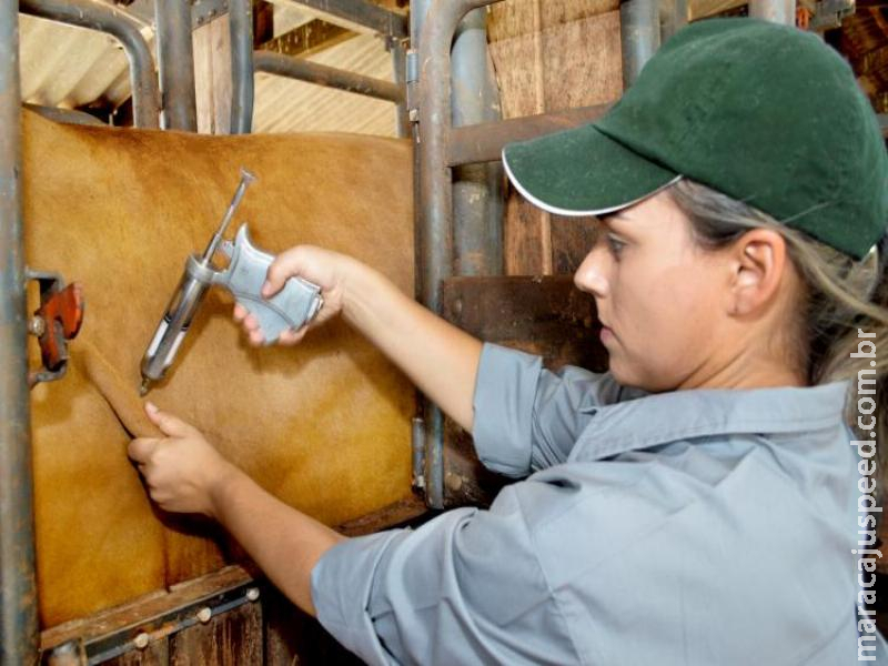 Etapa novembro/2019 de vacinação contra febre aftosa é prorrogada por 15 dias em municípios do Pantanal Etapa novembro/2019 de vacinação contra febre aftosa é prorrogada por 15 dias em municípios do Pantanal