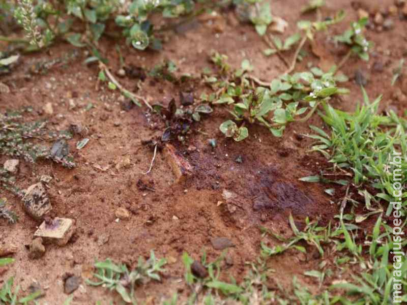 Feto é encontrado por moradores em frente a uma casa em bairro de Campo Grande Feto é encontrado por moradores em frente a uma casa em bairro de Campo Grande