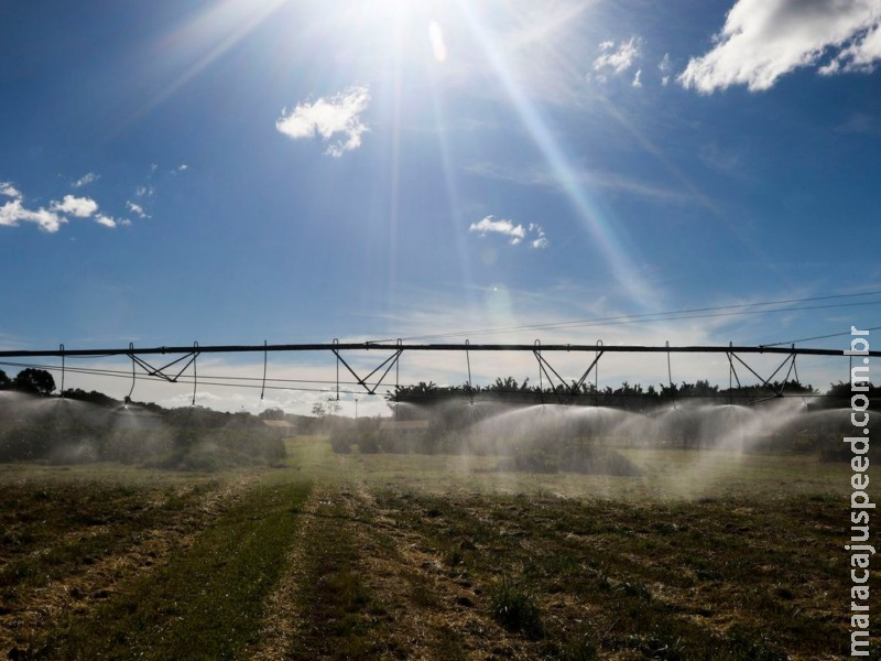 Governo quer mudar seguro agropecuário