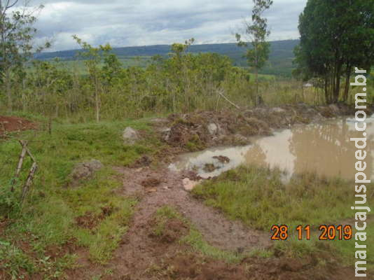 Homem é multado em R$ 6 mil por degradar nascentes e manter gado em área protegida