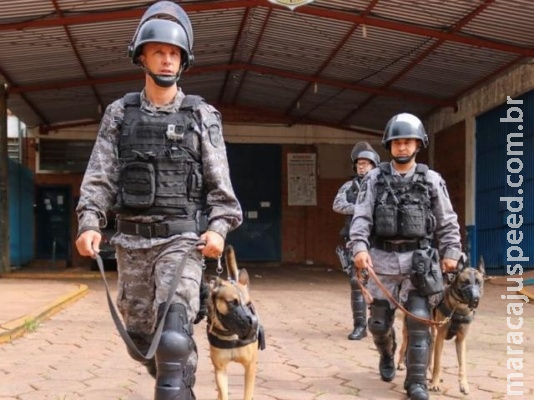 Horas após operação, polícia encontra sacola com celulares ao lado da Máxima Horas após operação, polícia encontra sacola com celulares ao lado da Máxima