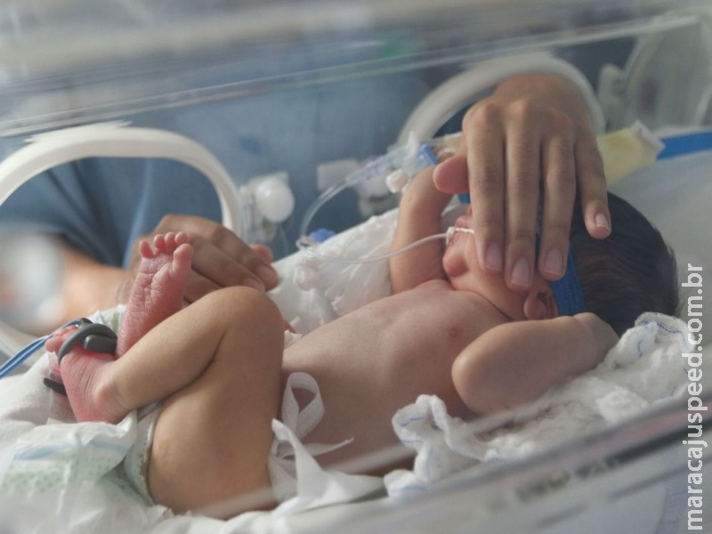 Hospital alerta para cuidados com mães de prematuros Hospital alerta para cuidados com mães de prematuros
