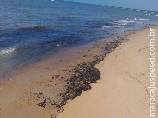 Manchas de óleo no litoral atingem mais de 500 locais no Nordeste e Sudeste Manchas de óleo no litoral atingem mais de 500 locais no Nordeste e Sudeste