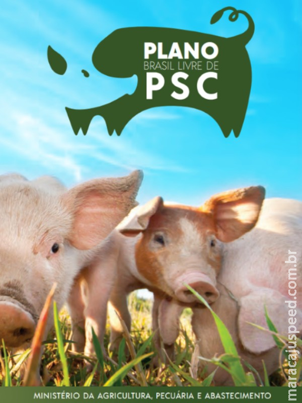 Mapa implementa plano estratégico para erradicar peste suína clássica